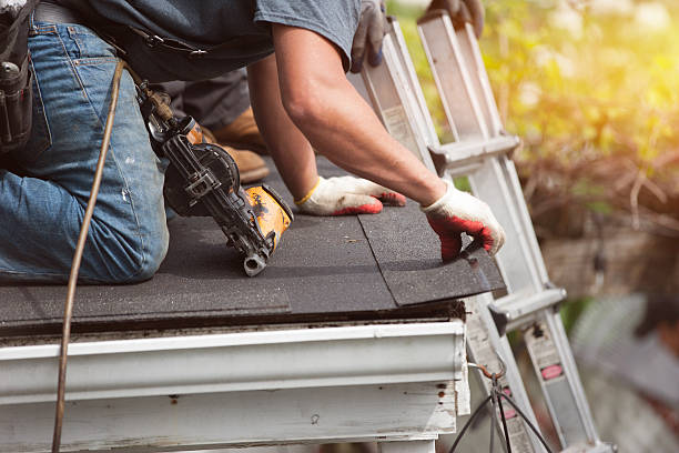 Best Metal Roofing Contractor  in Marinette, WI