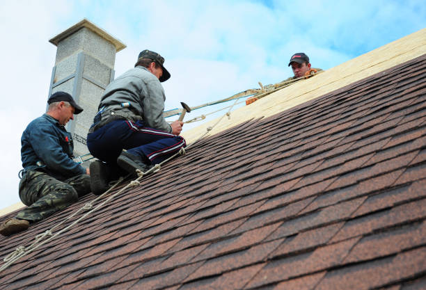 Best Gutter Installation and Roofing  in Marinette, WI